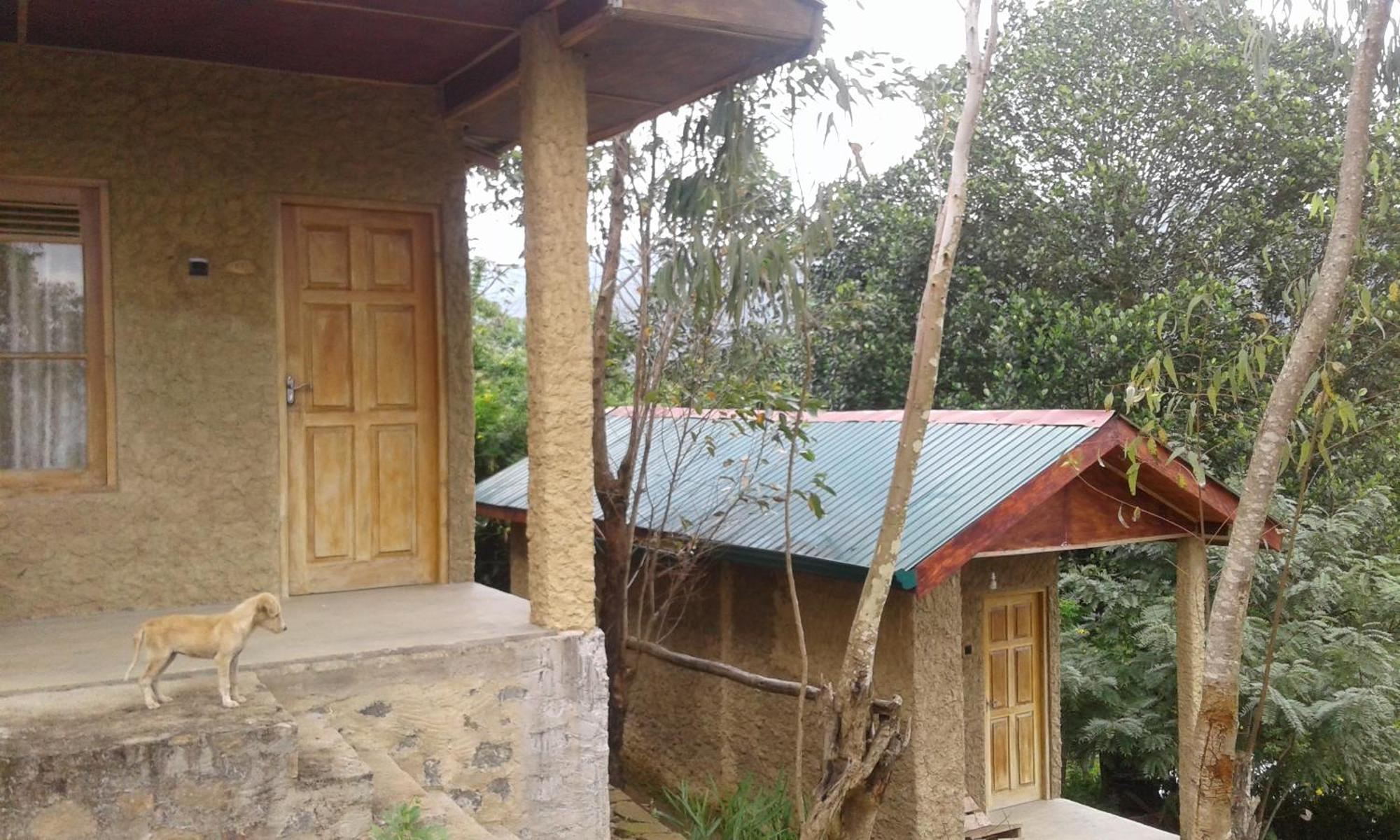 Dew Drop Resort Ella Exterior photo